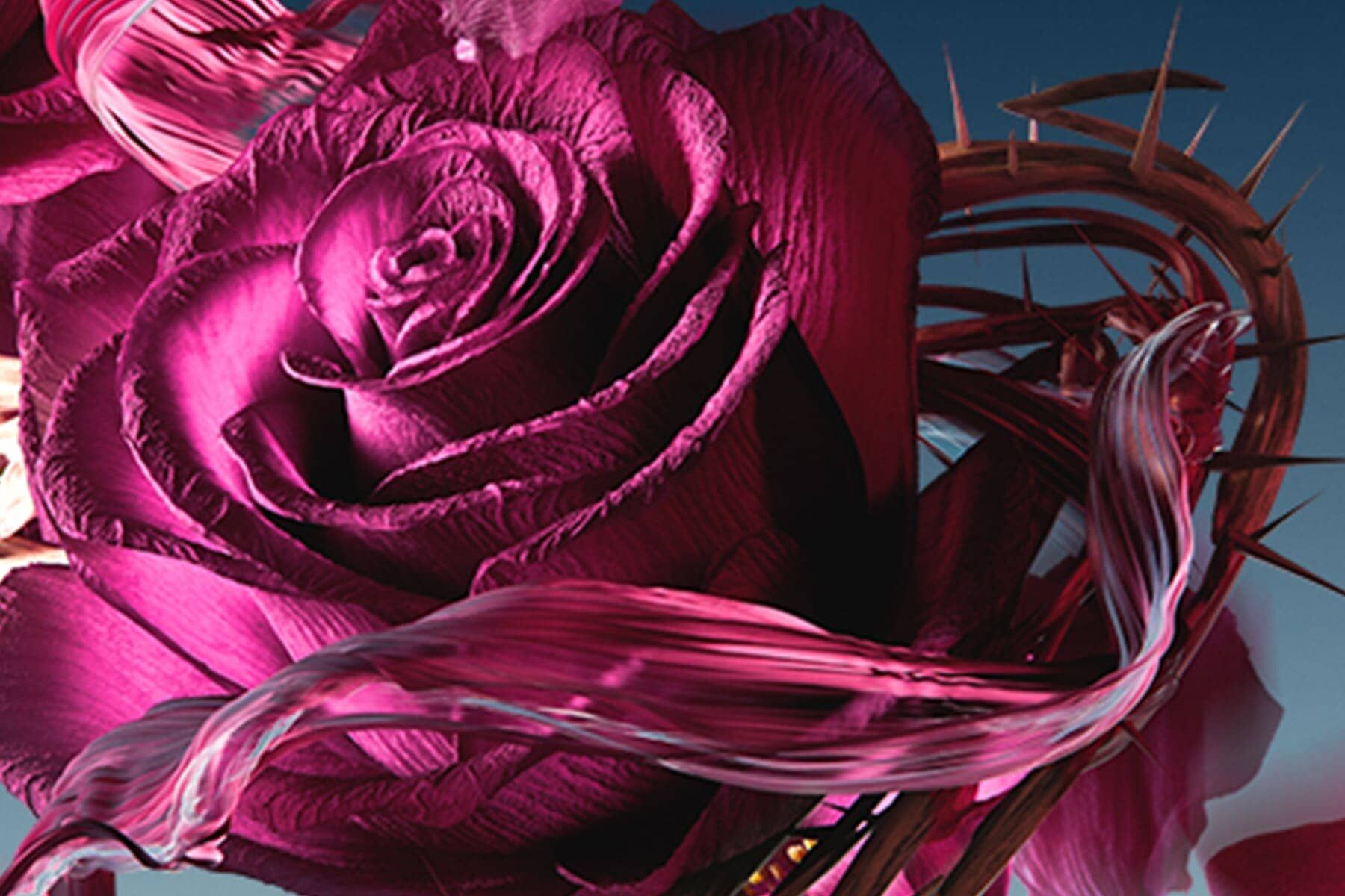 Atelier sales cologne rose