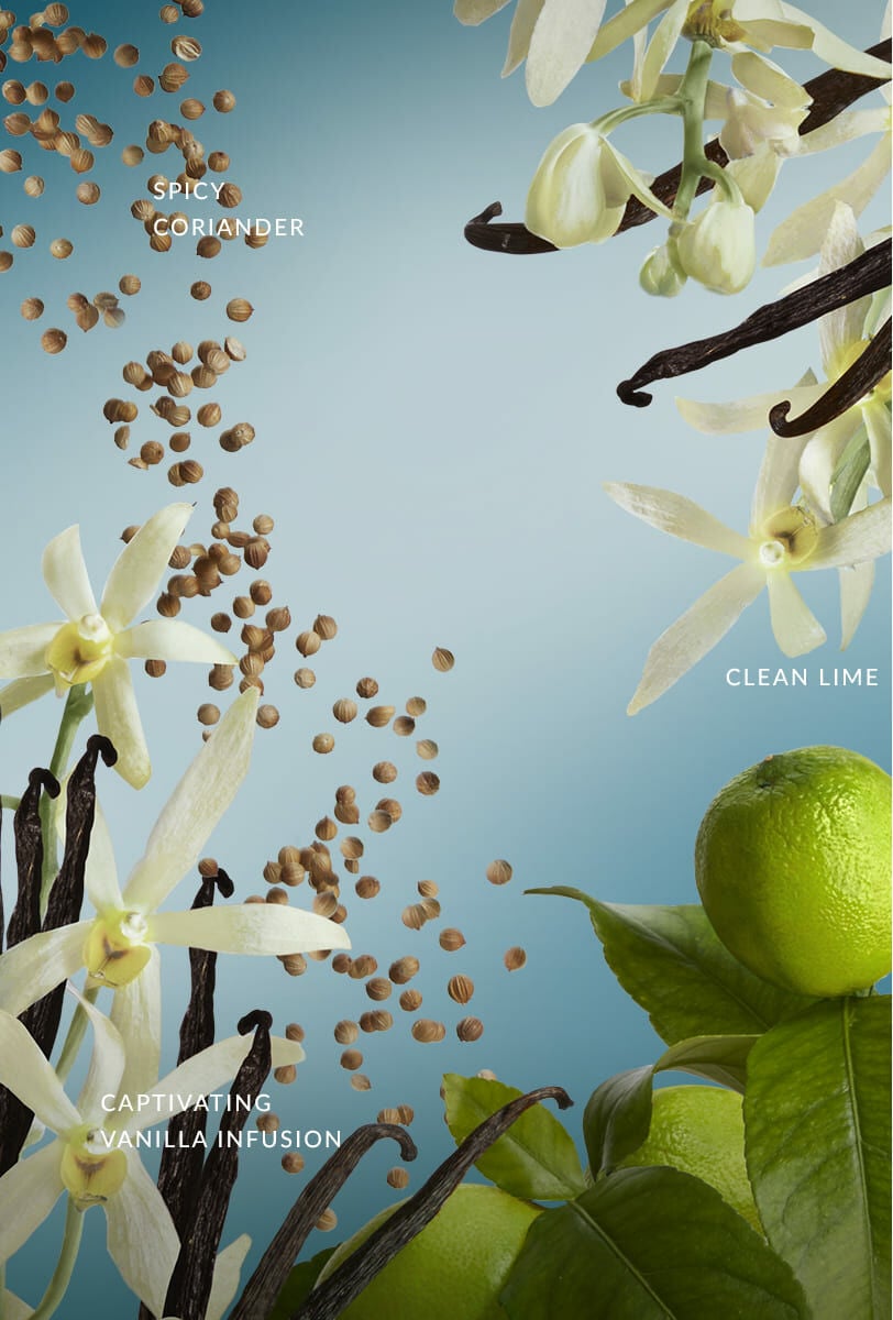 Atilia bloom on sale cologne