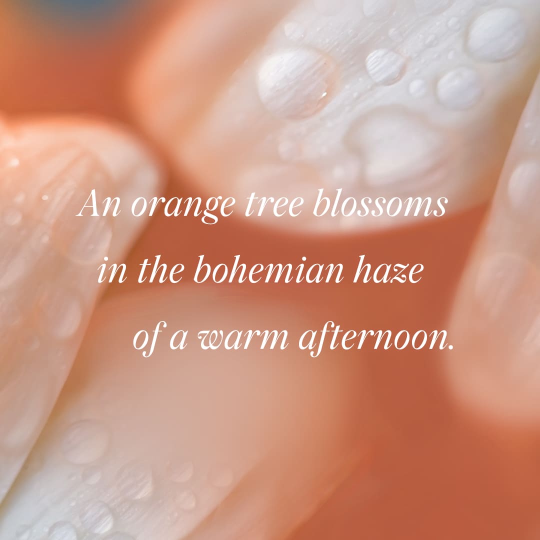 Bohemian Orange Blossom