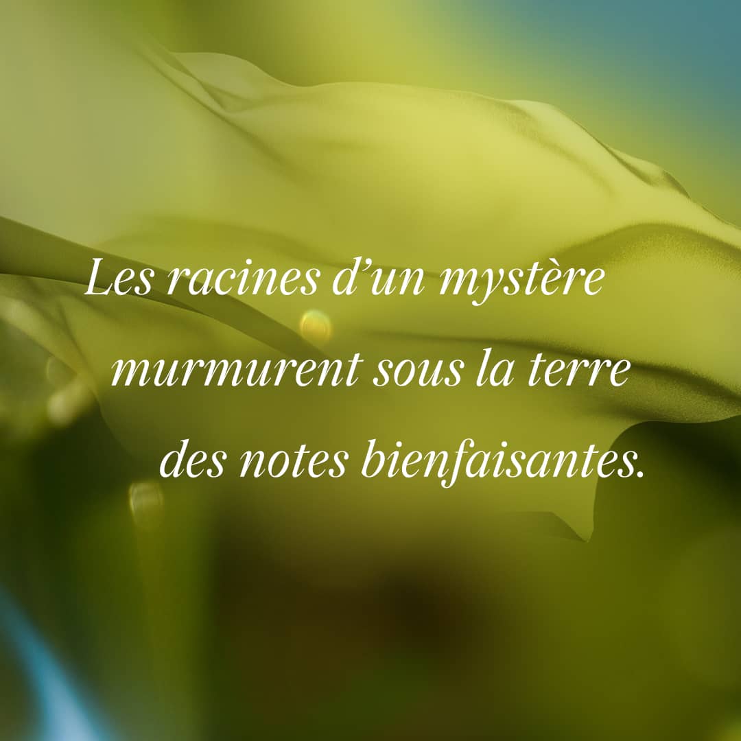 Vétiver Fatal