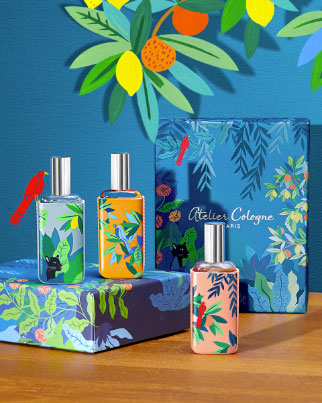 Summer Collection Welcome to the Jungle New Collaboration